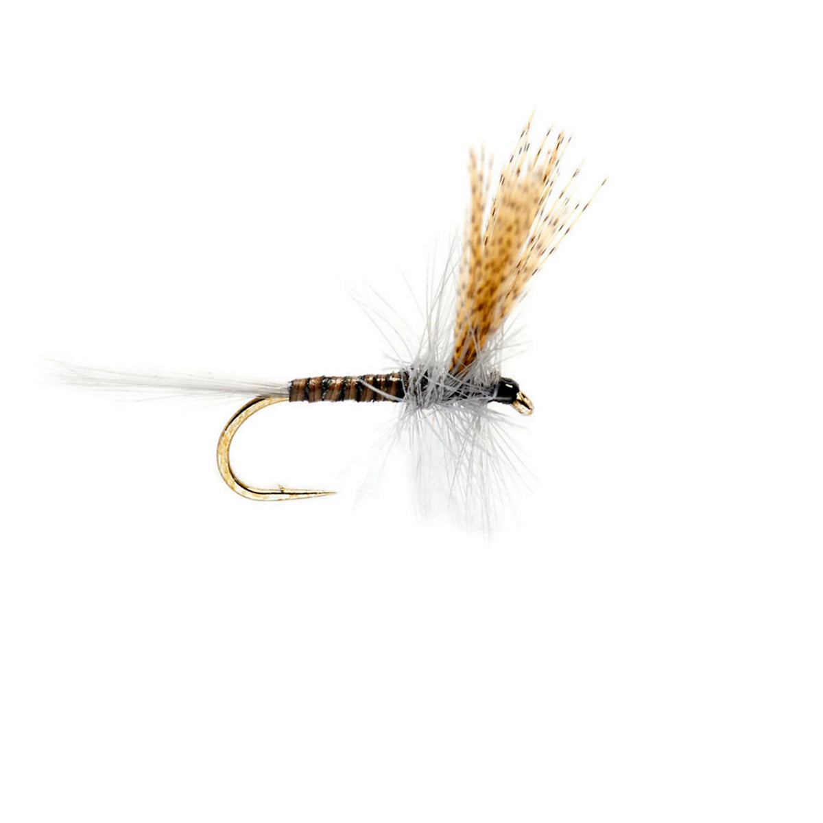 Quill Gordon - Orvis Featured