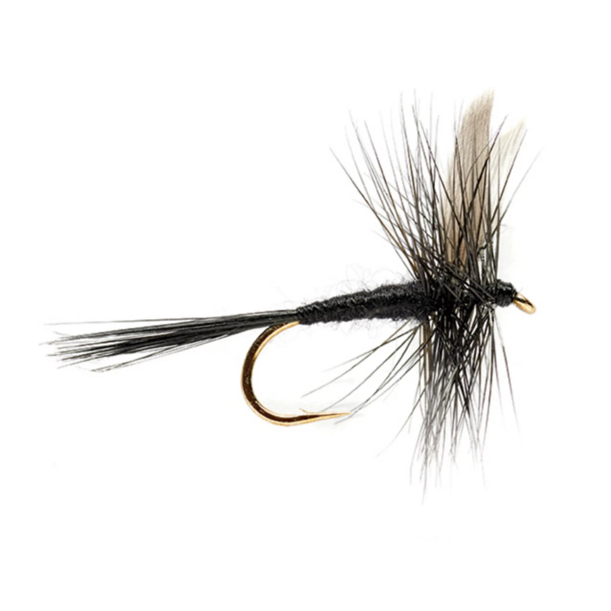 Black Gnat - Orvis Classic