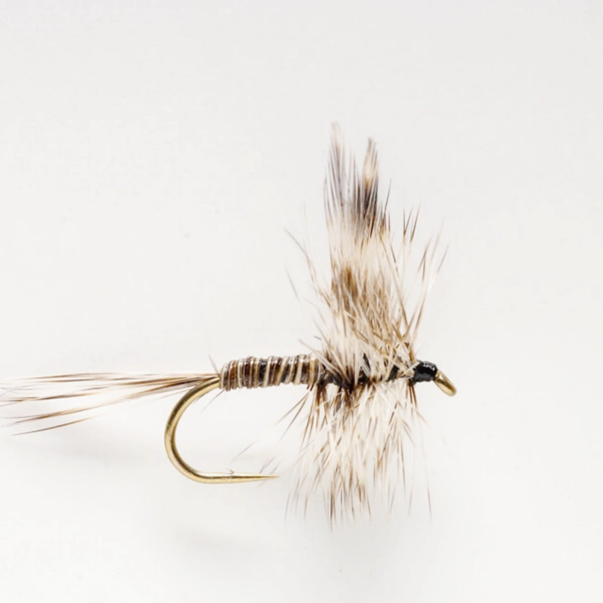 Mosquito Dry Fly - Orvis Popular