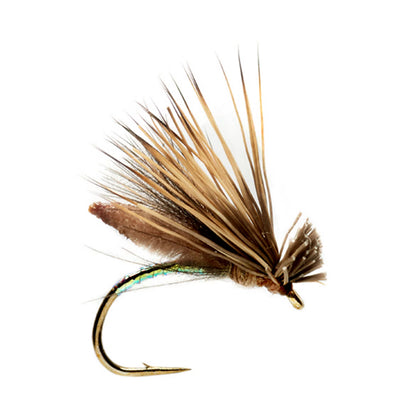 Palomino Caddis - Orvis Great Value