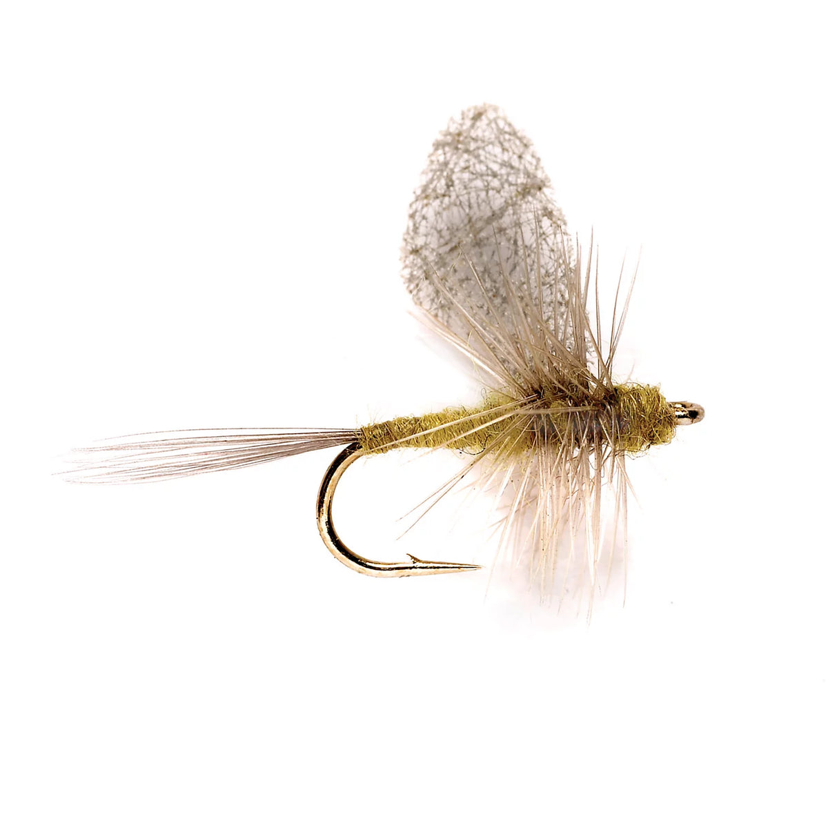 Cripple Dun BWO - Orvis Trusted