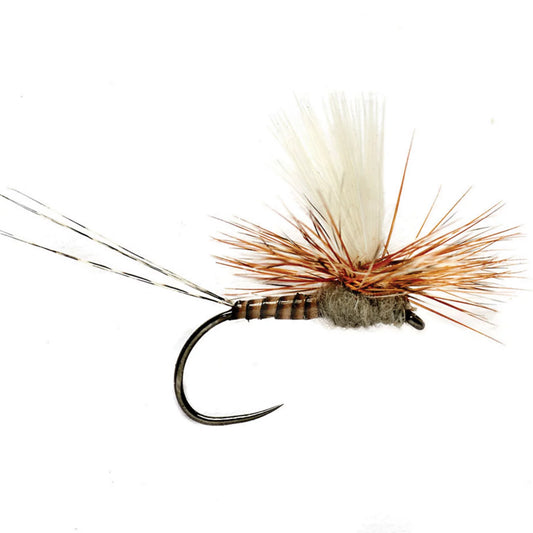 Lexi's Tactical Get 'Er Dun May - Orvis Smart Buy