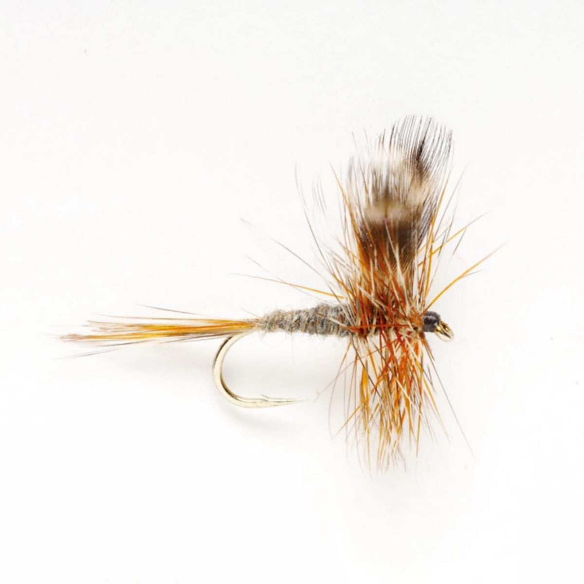 Adams - Orvis Discount