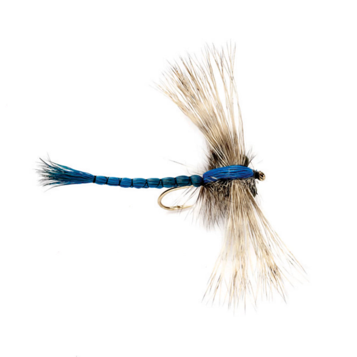 Gibson's Dragonfly - Orvis Value