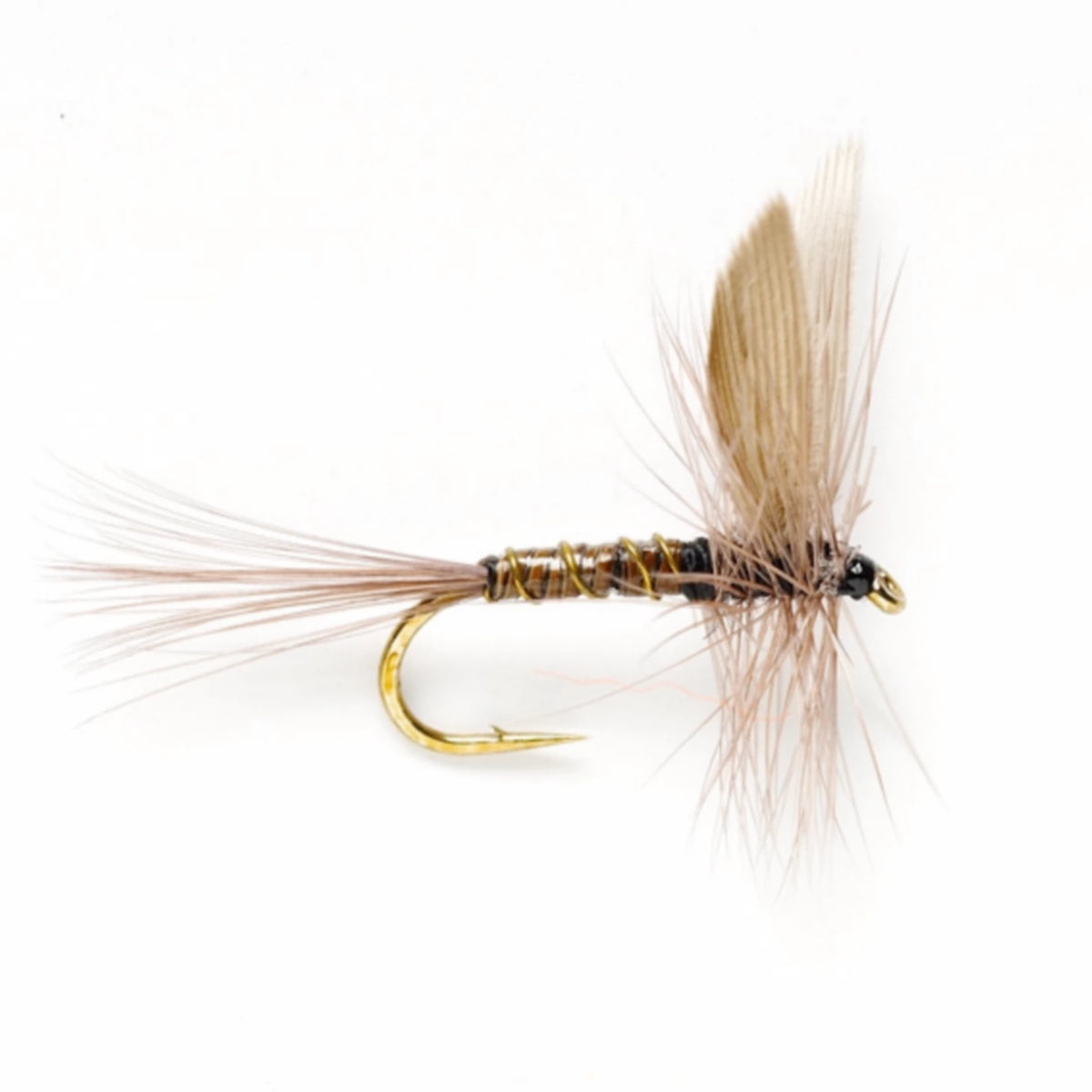 Blue Quill - Orvis Featured