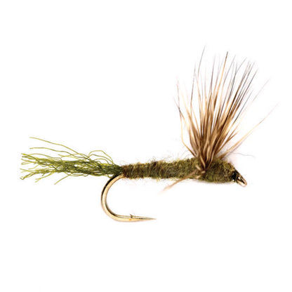 Sparkle Dun - Orvis Recommended