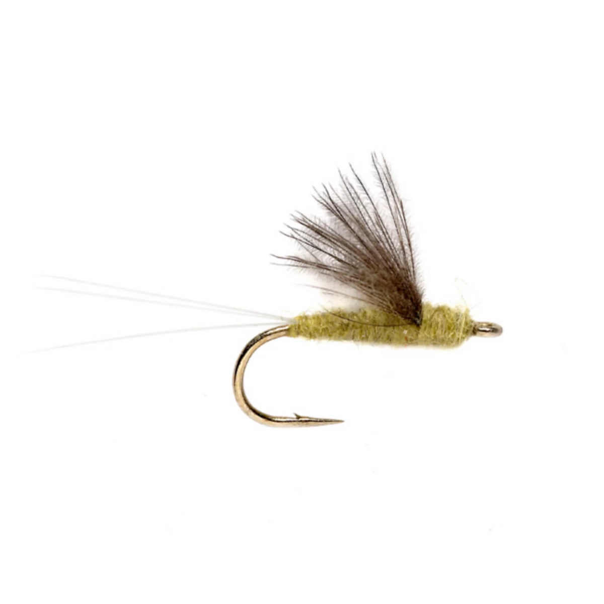 RS2 - Orvis Great Value
