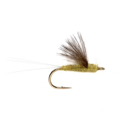 RS2 - Orvis Great Value
