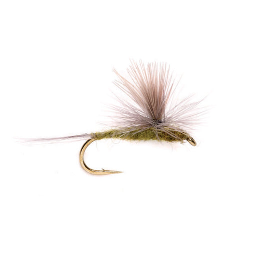 Blue Wing Olive Parachute - Orvis Discount