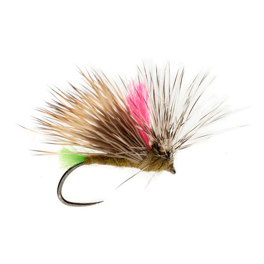 Olsen's Barbless Front End Loader Caddis - Orvis Premium