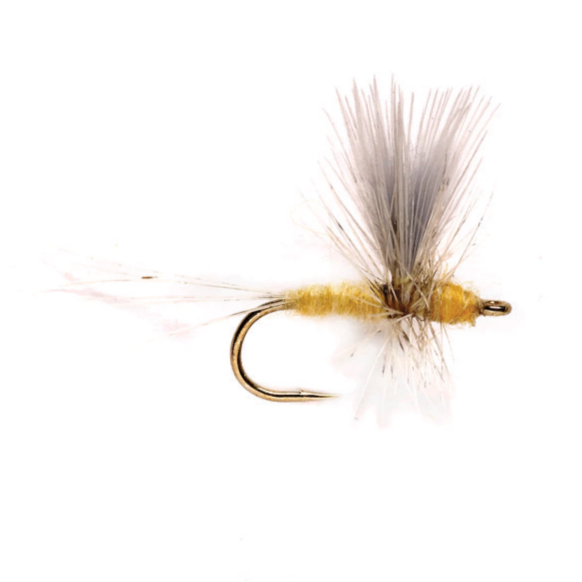 Pale Morning Dun Thorax - Orvis Value