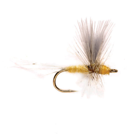 Pale Morning Dun Thorax - Orvis Value