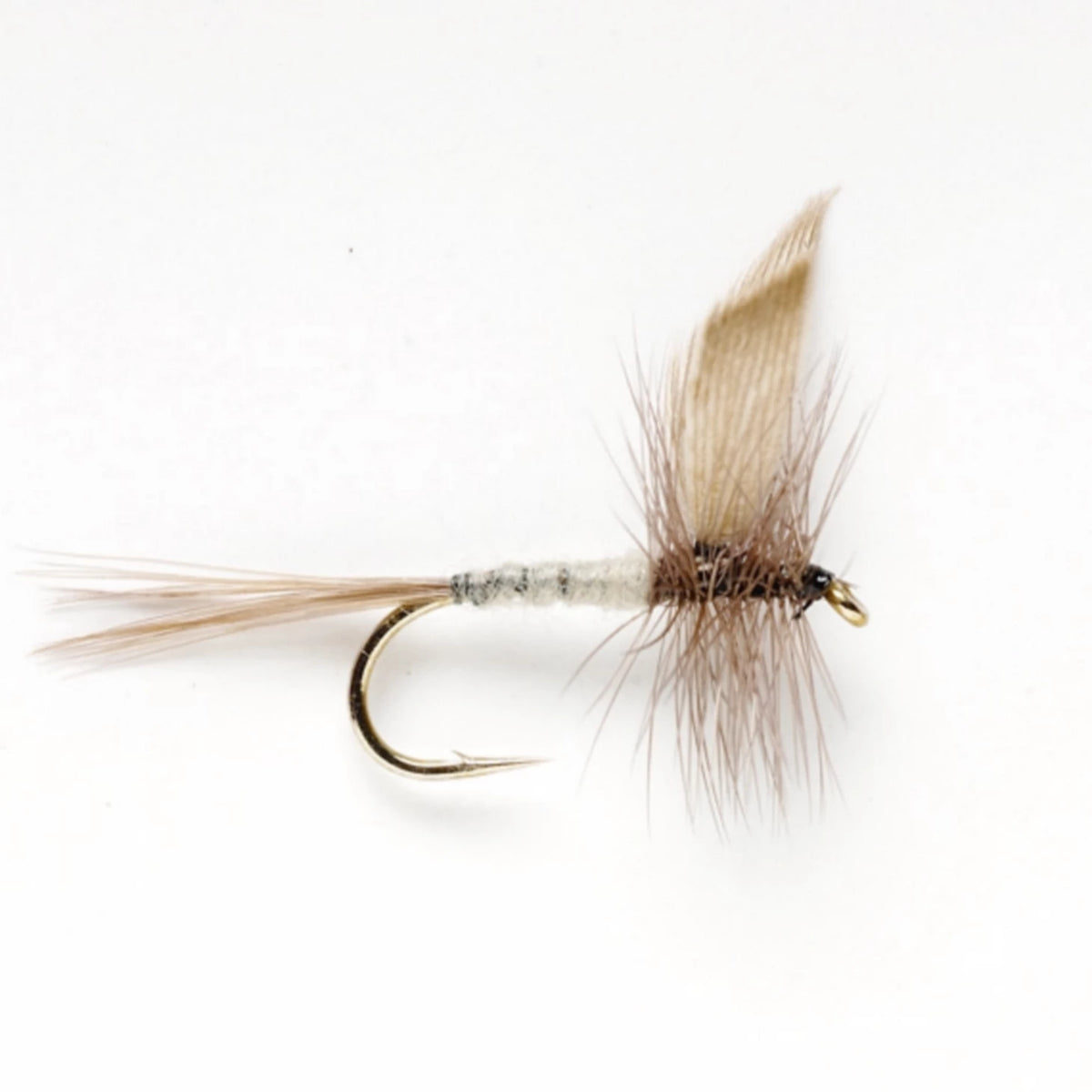 Blue Dun - Orvis Featured