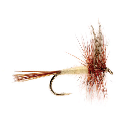 Gray Fox - Orvis Top Pick