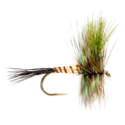 Eastern Green Drake - Orvis Classic