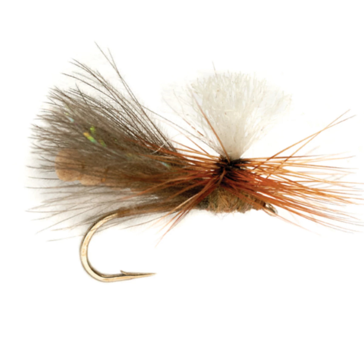 NBK Caddis Dry - Orvis Classic