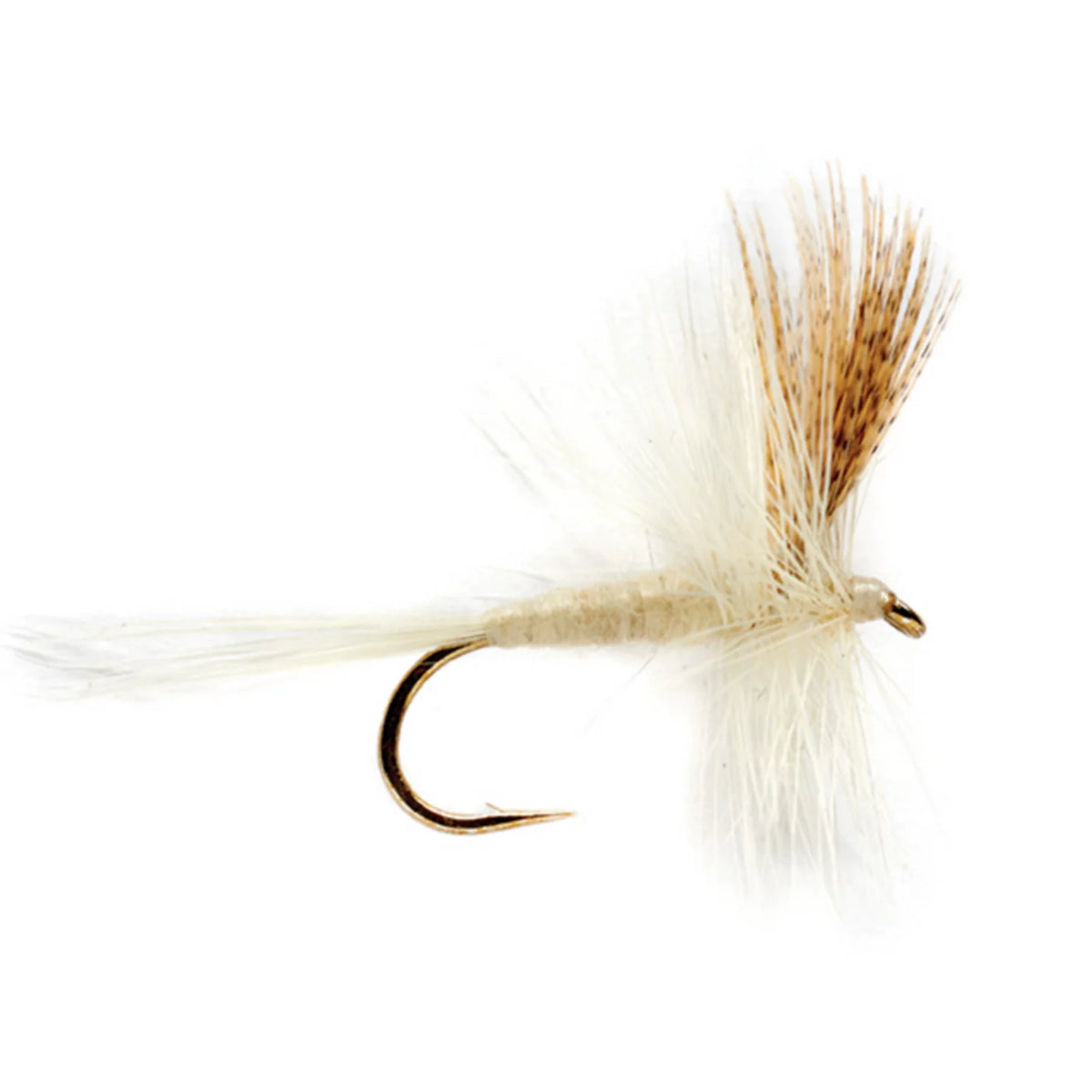Light Cahill - Orvis Best Price