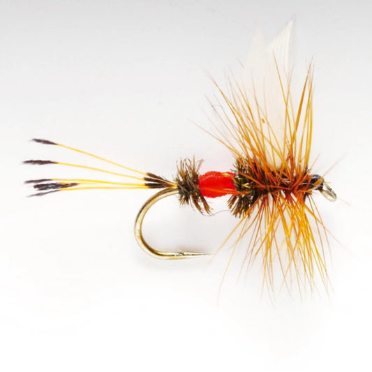 Royal Coachman - Orvis Special Offer