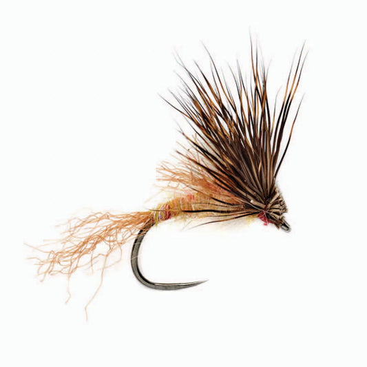 Rinker's CDC Wonder Bug - Orvis Everyday