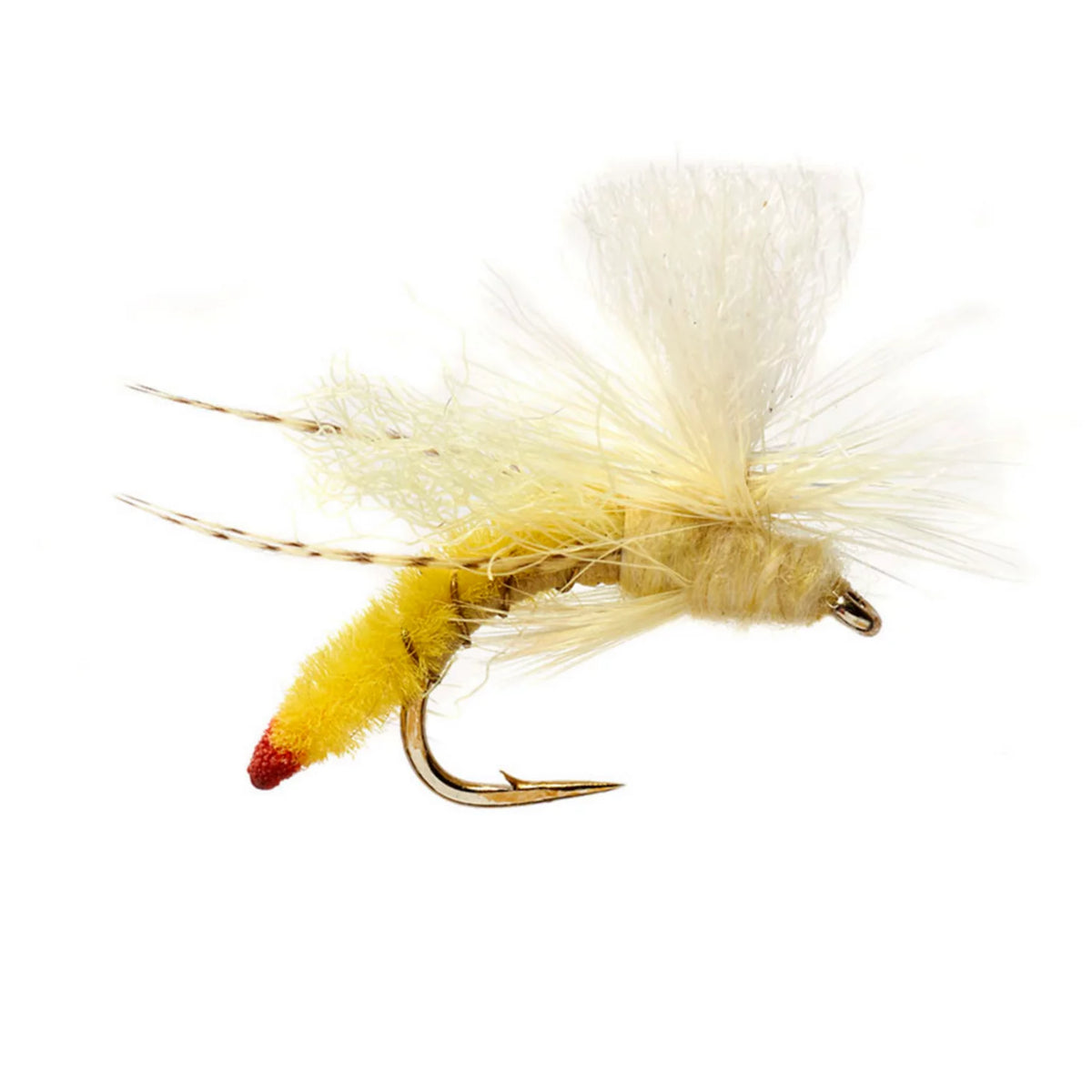 Spotlight Yellow Sally - Orvis Popular