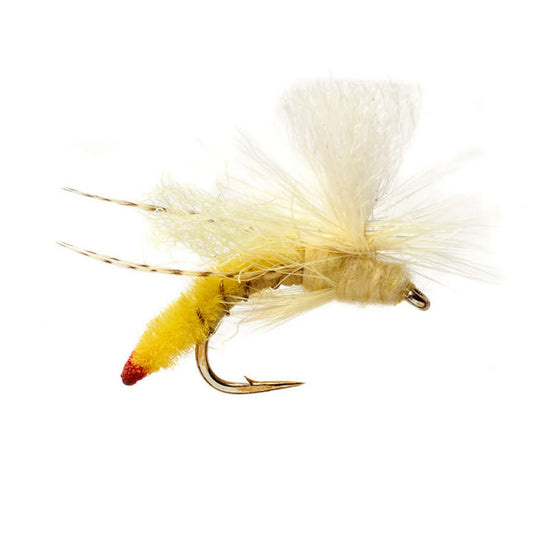 Spotlight Yellow Sally - Orvis Popular
