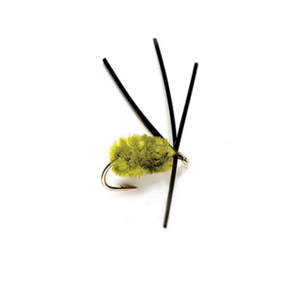 Bully Bluegill Spider - Orvis Signature