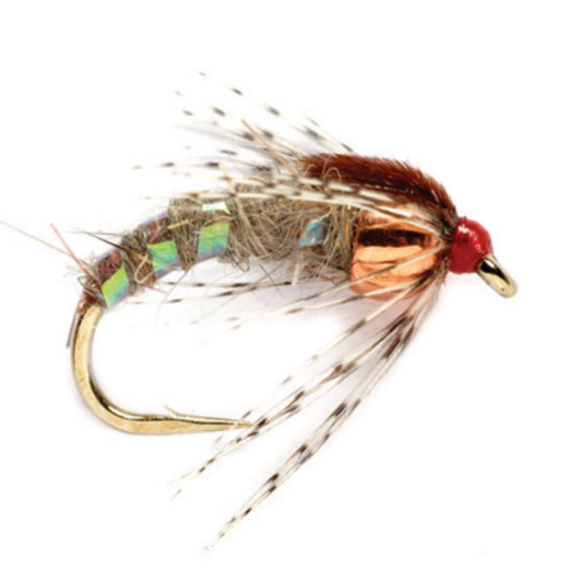 Holy Grail - Orvis Everyday