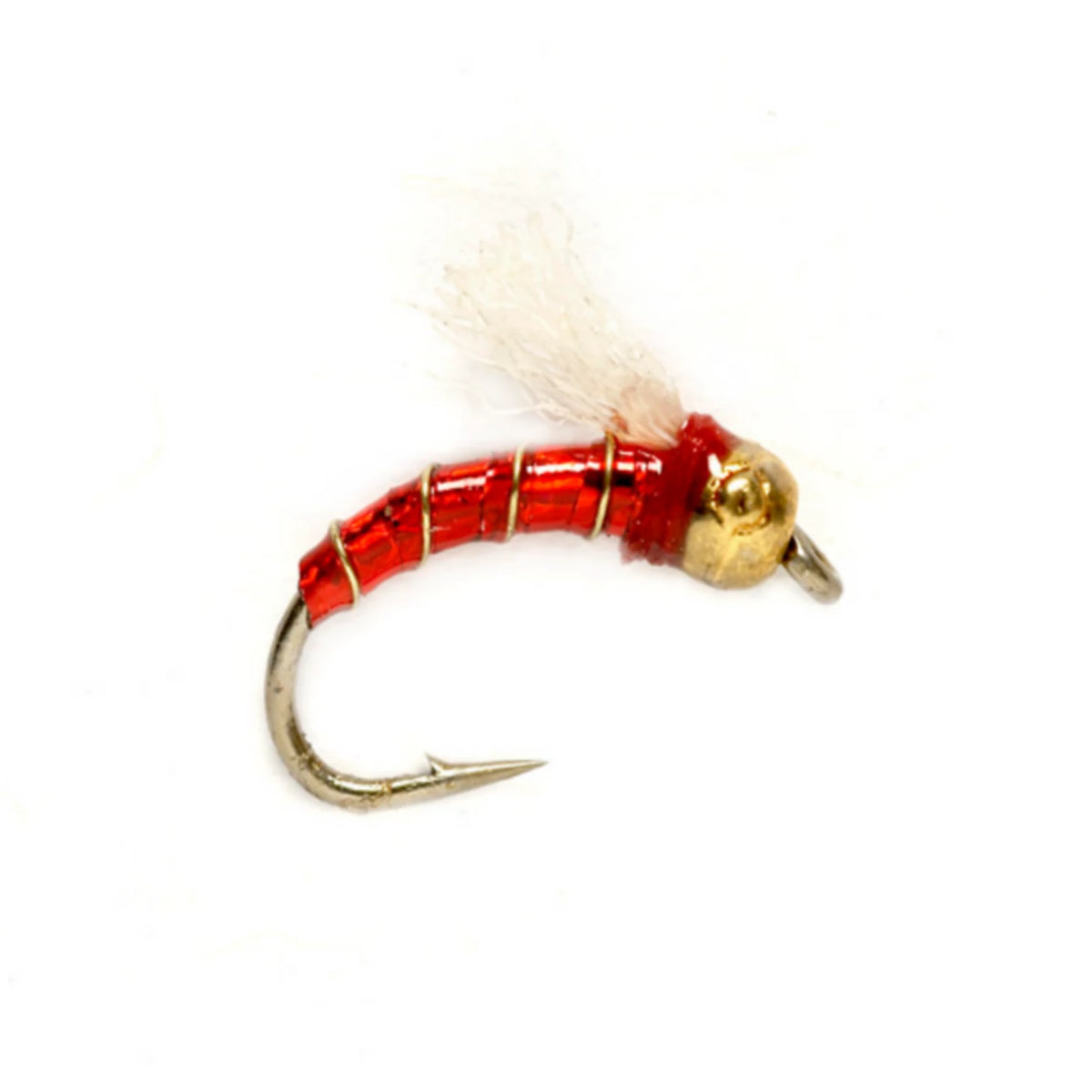 Lexi's TH Holo-Zmidge - Orvis Trusted