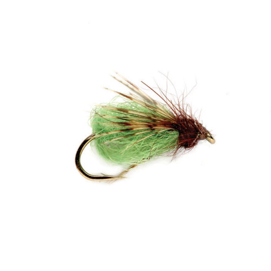 La Fontaine Sparkle Pupa - Orvis Smart Buy