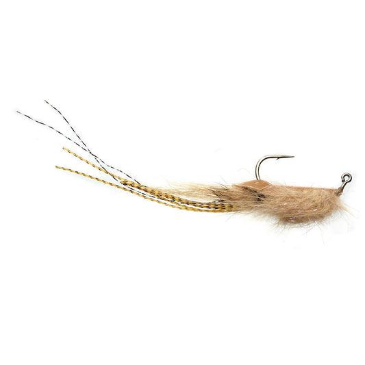 Whalley's Champagne Shrimp - Orvis Value