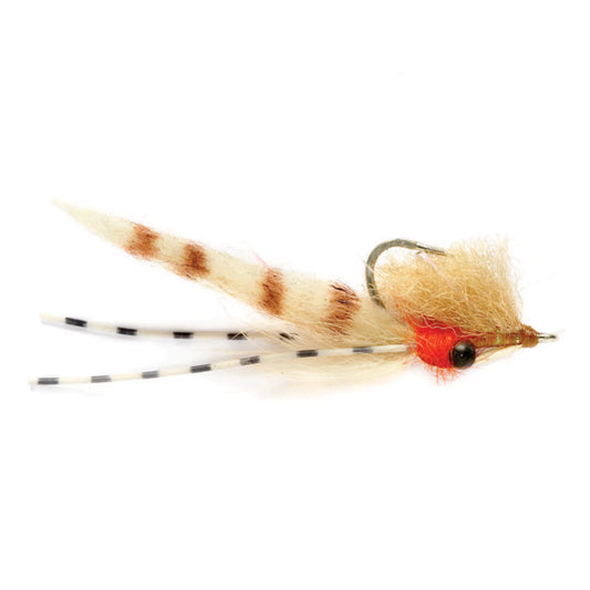 Bone Voyage - Orvis Value