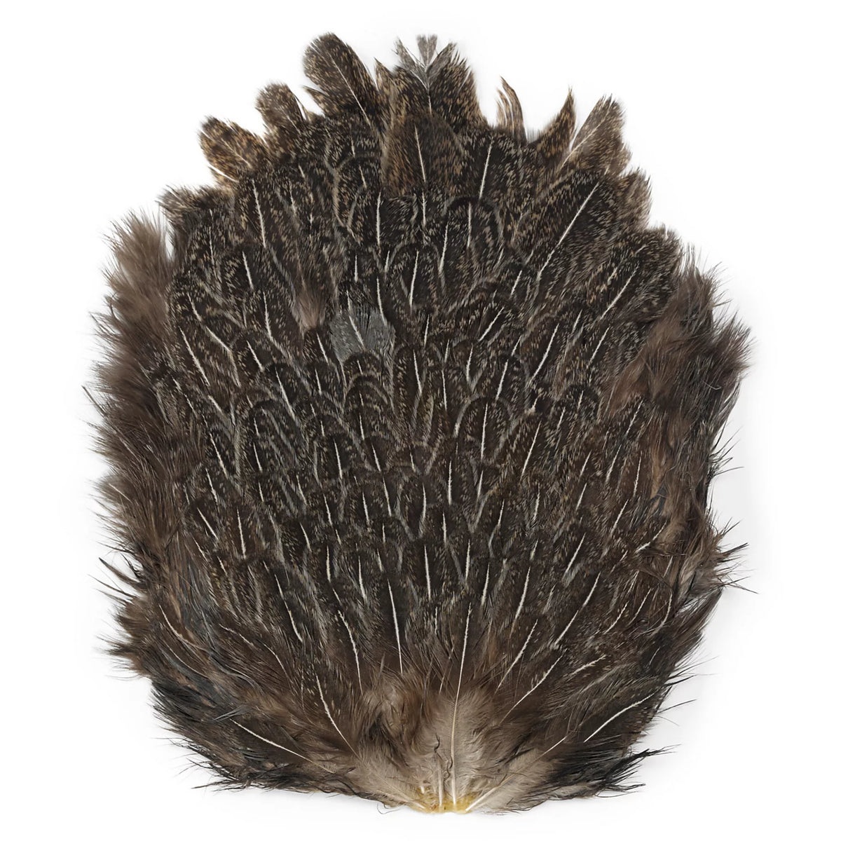 India Hen Backs - Orvis Featured