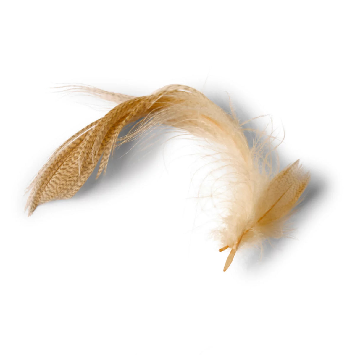 Mallard Duck Side Feathers - Orvis Top Pick