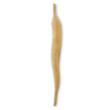 Mangum's Mini Dragon Tail - Orvis Classic