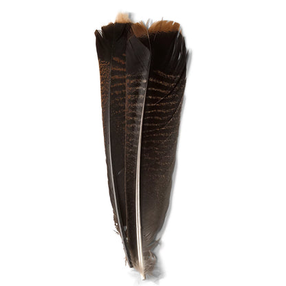 Mottled Turkey Feathers - Orvis Popular