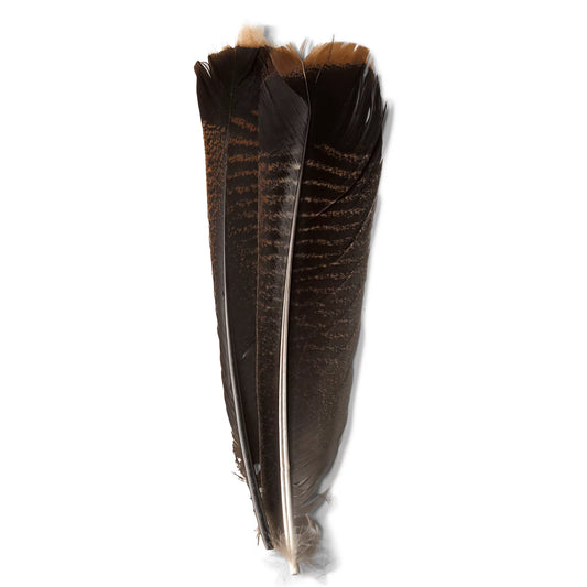 Mottled Turkey Feathers - Orvis Popular