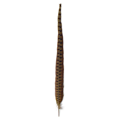 Pheasant Tail - Orvis Featured