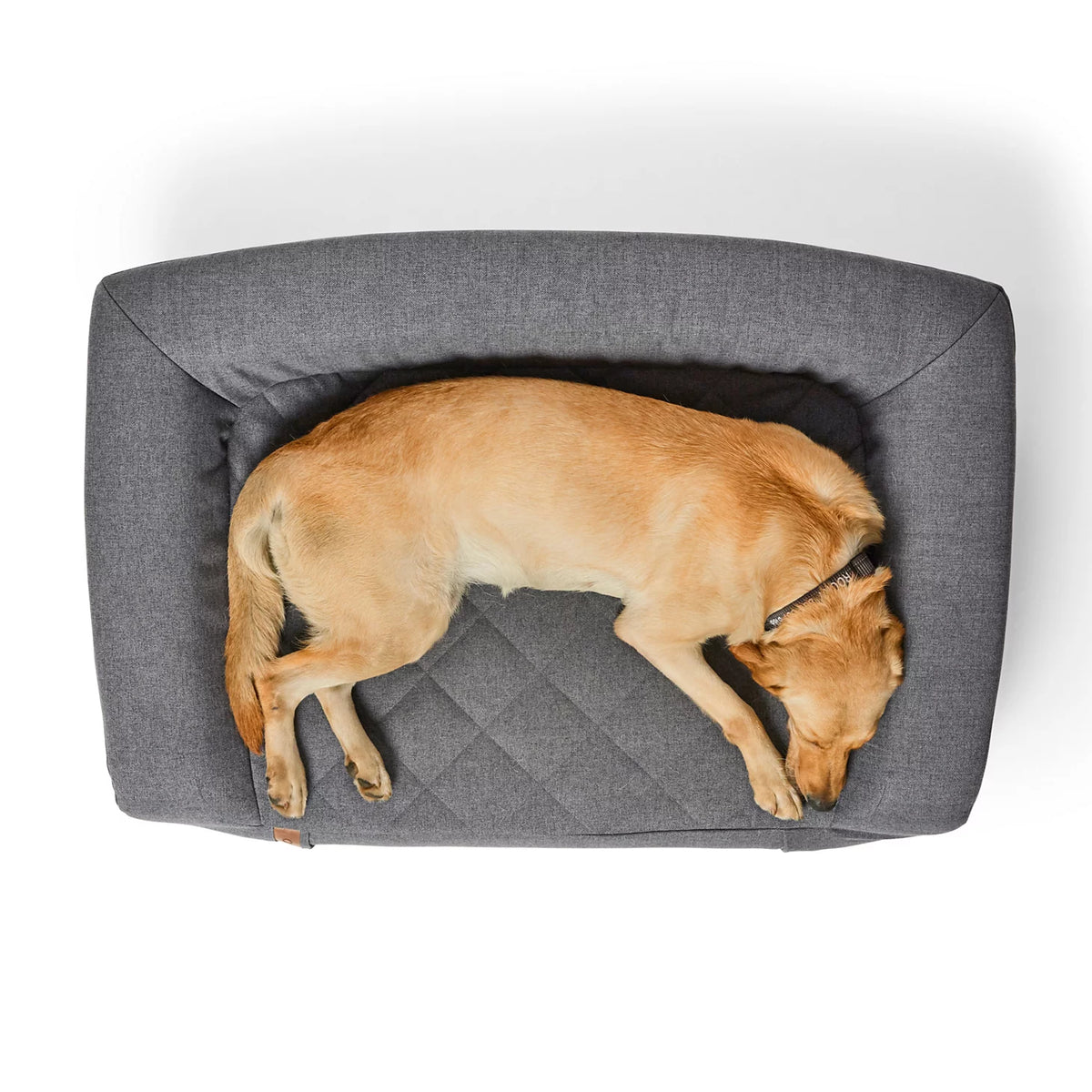 Orvis RecoveryZone® Couch Dog Bed - Orvis Exclusive