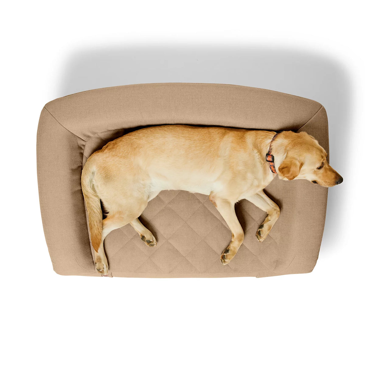 Orvis RecoveryZone® ToughChew® Couch Dog Bed - Orvis Everyday