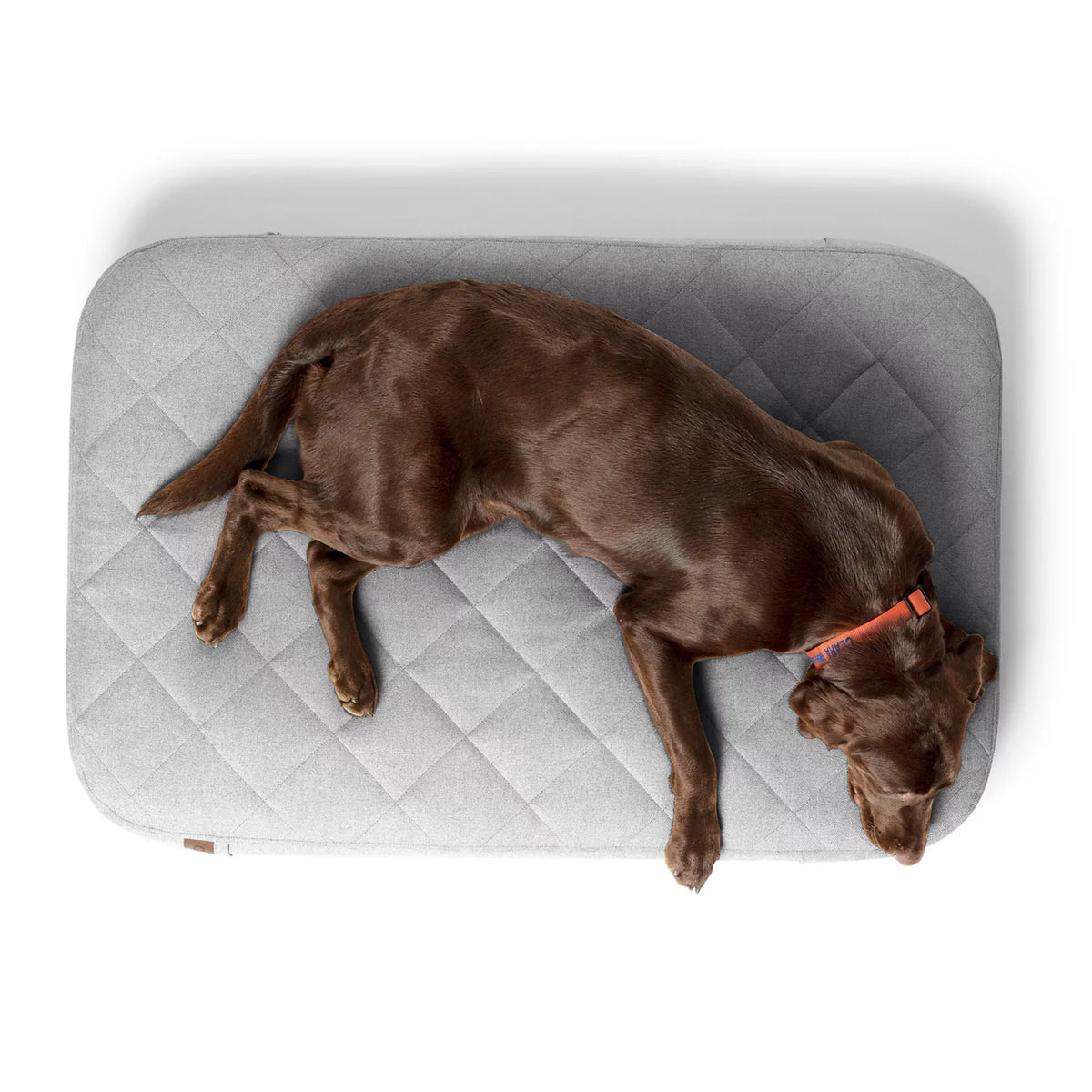 Orvis RecoveryZone® Lounger Dog Bed - Orvis New