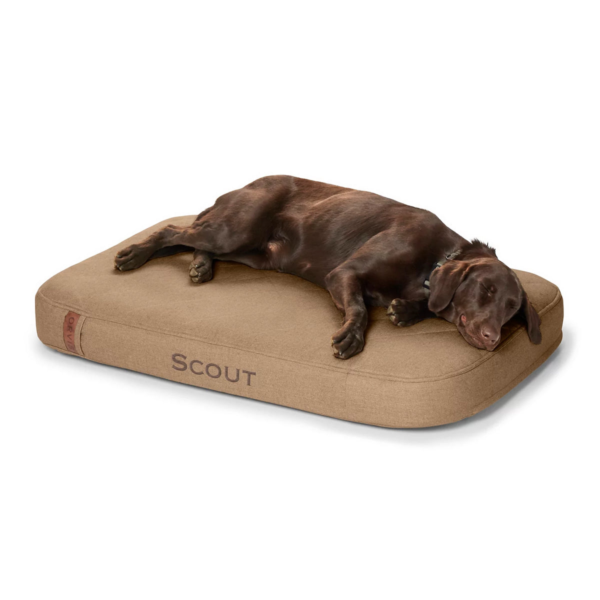 Orvis RecoveryZone® ToughChew® Lounger Dog Bed - Orvis Great Value