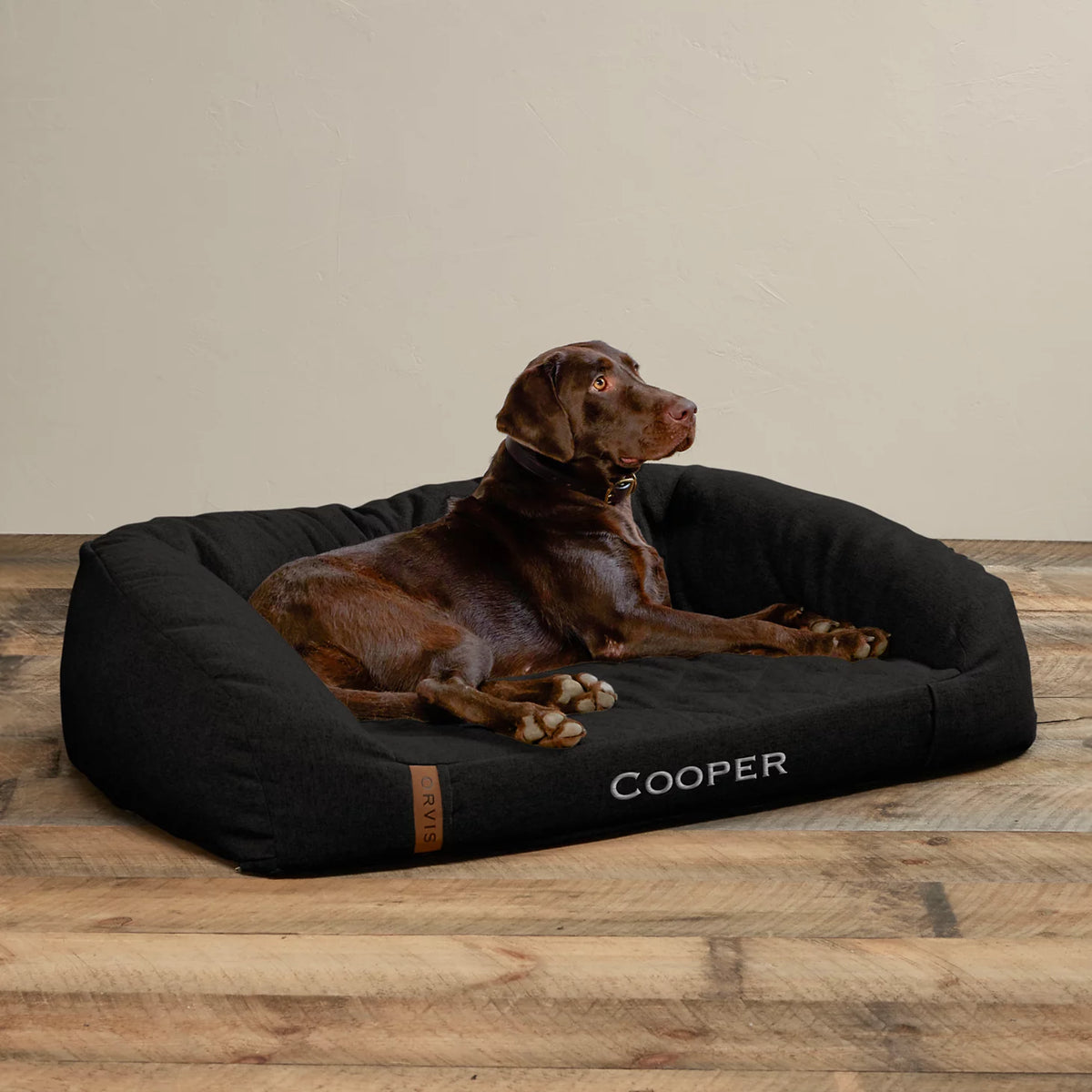 Memory Foam Couch Dog Bed - Orvis Great Value