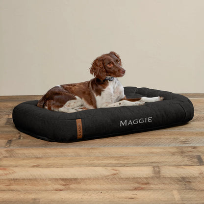 Memory Foam Lounger Dog Bed - Orvis Best Price