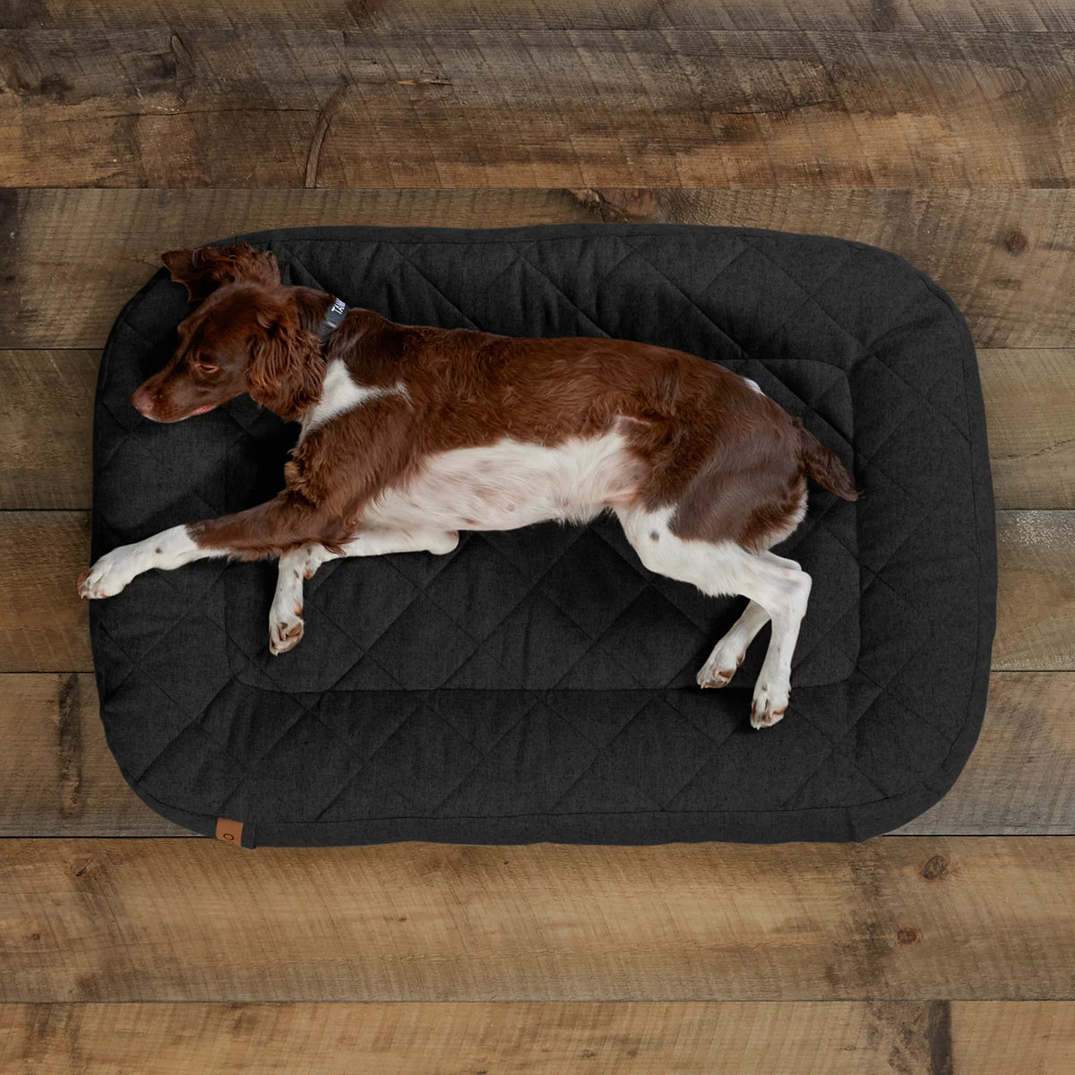 Memory Foam Lounger Dog Bed - Orvis Best Price