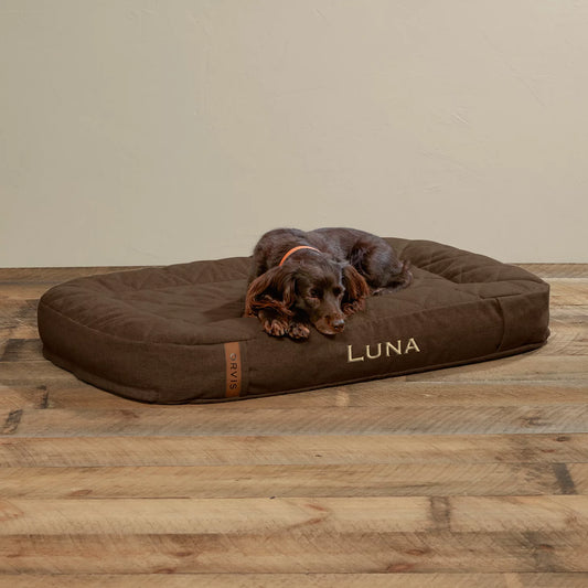 ToughChew® Memory Foam Lounger Dog Bed - Orvis Discount