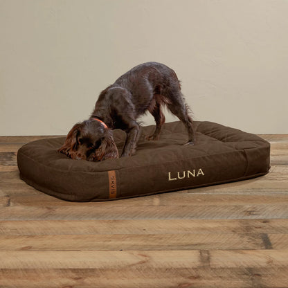 ToughChew® Memory Foam Lounger Dog Bed - Orvis Discount
