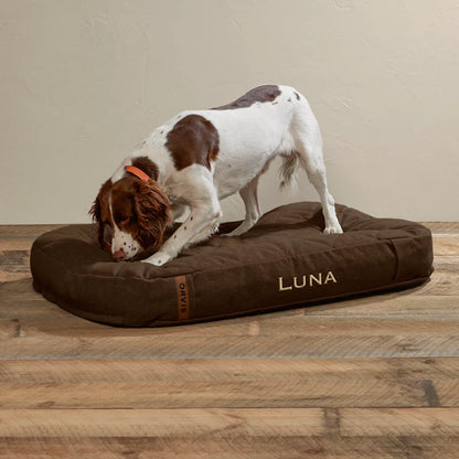 ToughChew® Memory Foam Lounger Dog Bed - Orvis Discount