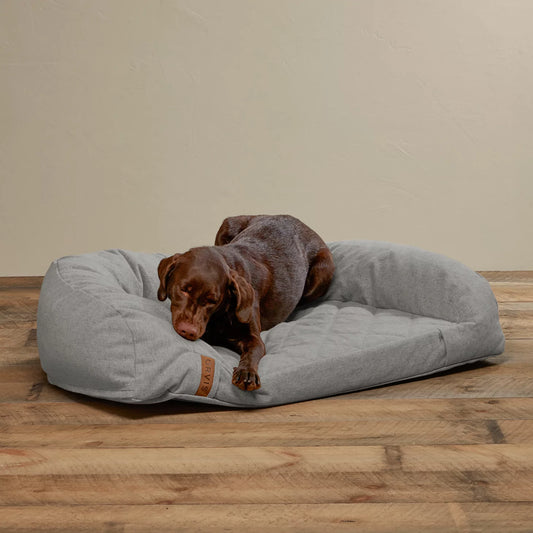 ToughChew® Memory Foam Couch Dog Bed - Orvis Deals