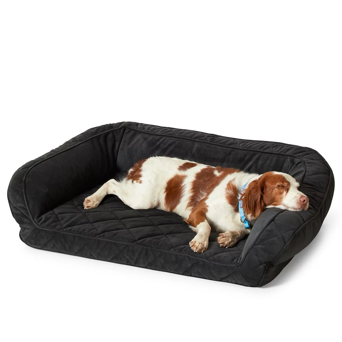 Orvis ComfortFill-Eco™ Couch Dog Bed - Orvis Premium