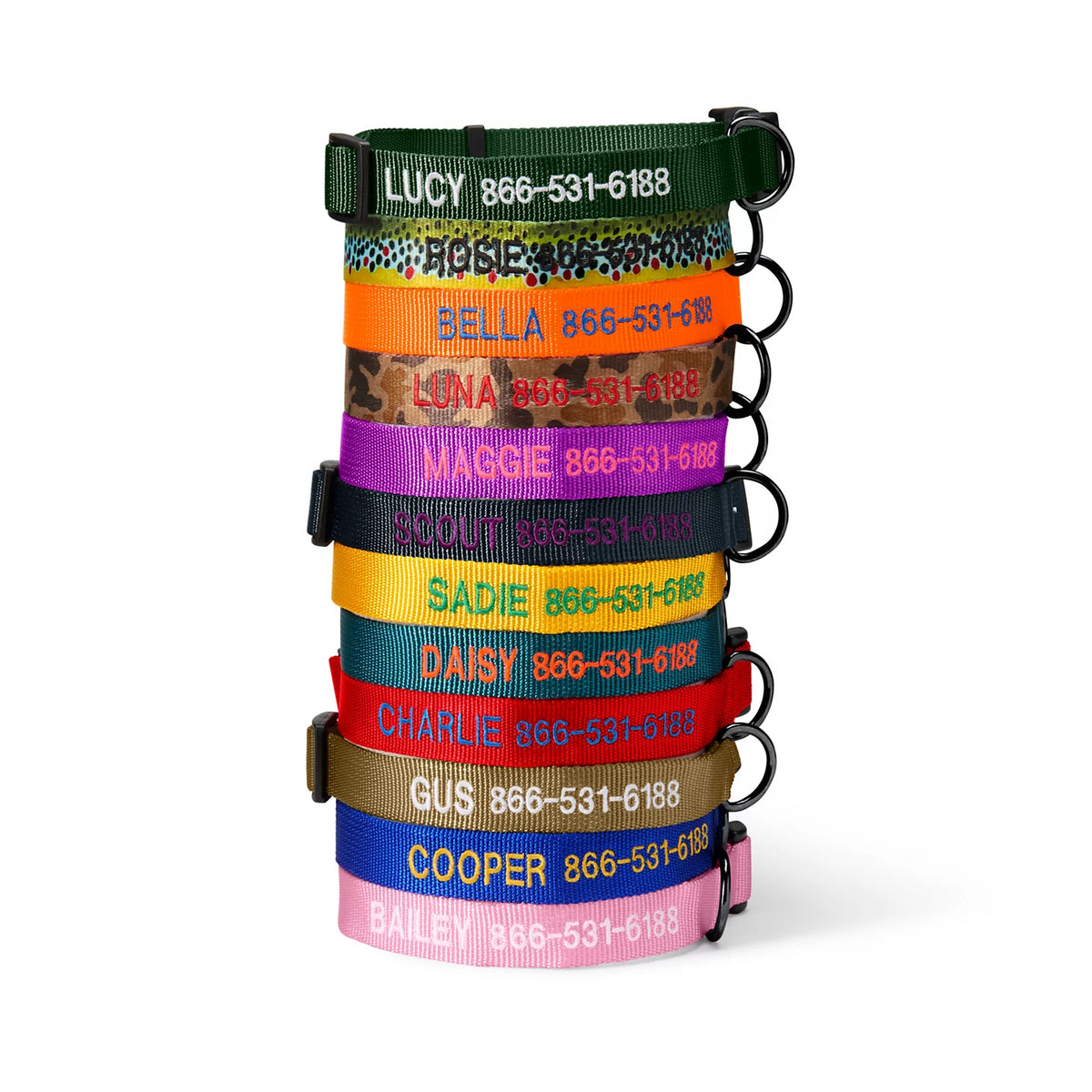 Personalized Side-Release Buckle Collar - Orvis Everyday